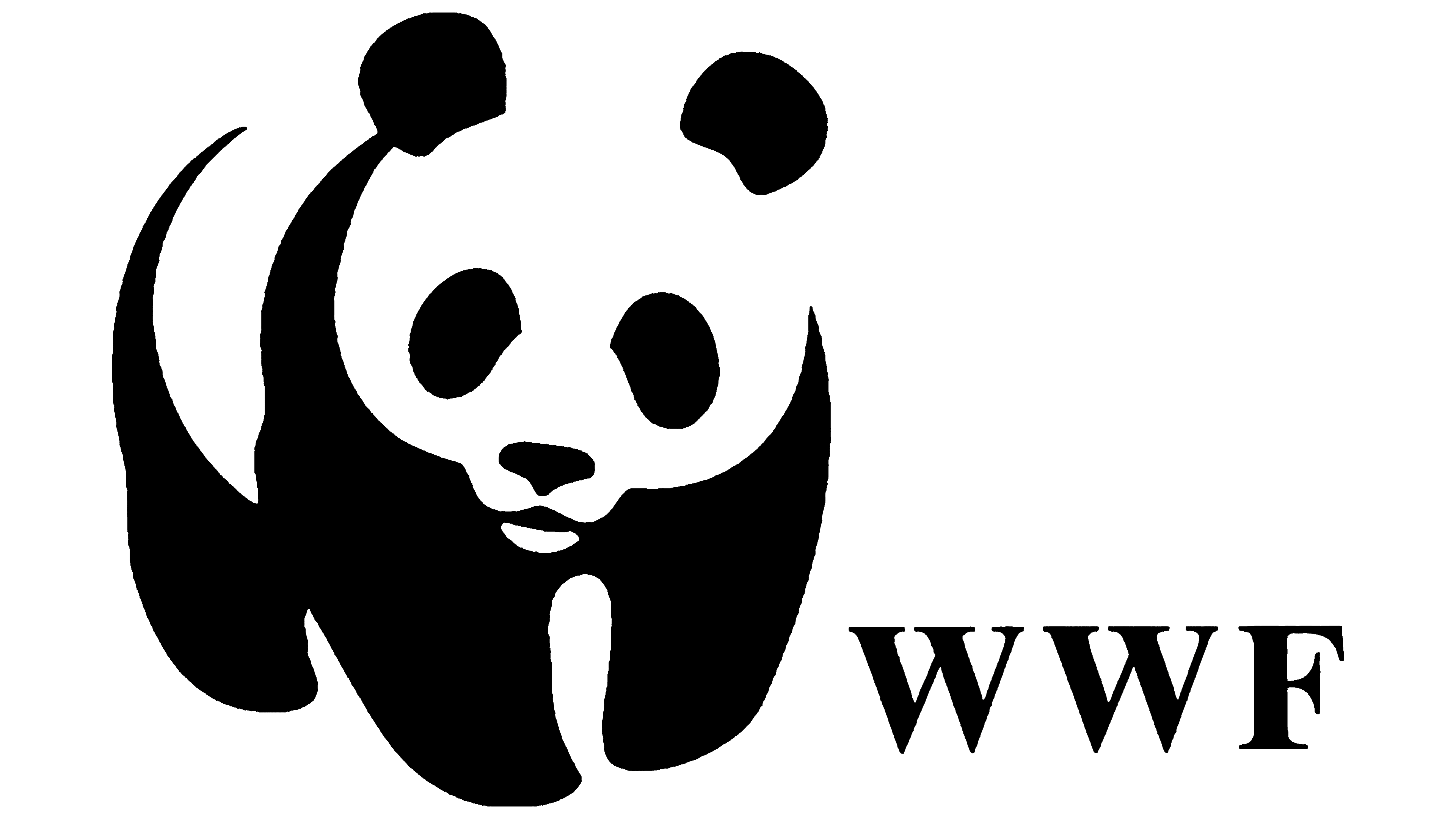 client satisafait